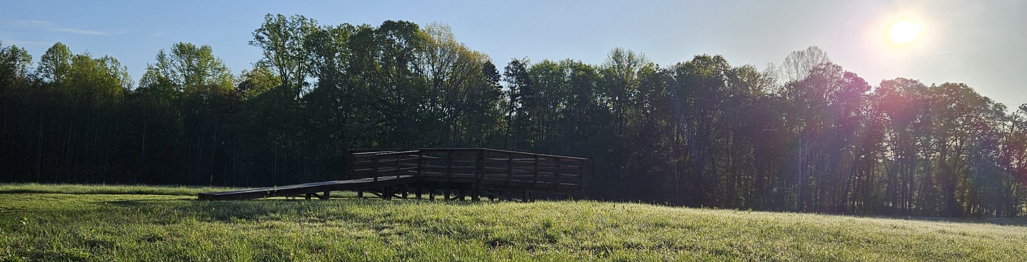 Eating My Way Through It